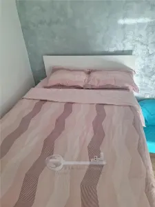 Apartament 1 Copou- Negruzzi- 450 euro - foto 6
