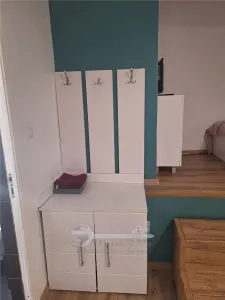 Apartament 1 Copou- Negruzzi- 450 euro - foto 7