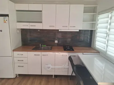 Apartament 1 Copou- Negruzzi- 450 euro - foto 8