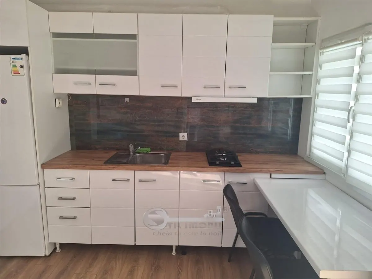 Apartament 1 Copou- Negruzzi- 450 euro - foto 8