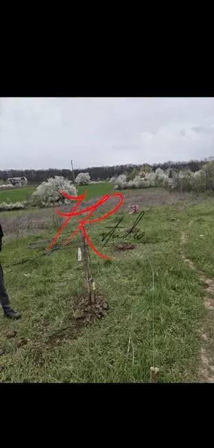 Vanzare teren intravilan Vladiceasca/Snagov langa lac - foto 2