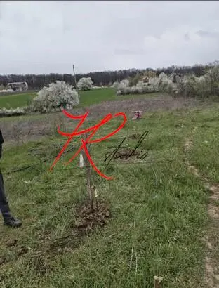 Vanzare teren intravilan Vladiceasca/Snagov langa lac - foto 4