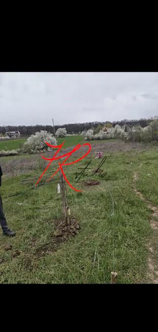 Vanzare teren intravilan Vladiceasca/Snagov langa lac - foto 5
