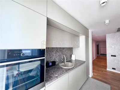 Apartament 3 camere de inchiriat One Herastrau Towers - foto 9