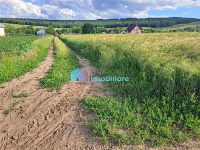 Teren intravilan in Reuseni, comuna Udesti - Reuseni