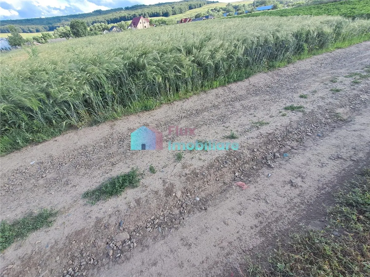 Teren intravilan in Reuseni, comuna Udesti - foto 6