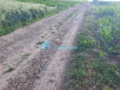 Teren intravilan in Reuseni, comuna Udesti - foto 10