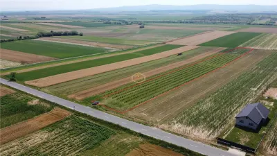 Teren intravilan cu plantatie | Posibilitate de parcelare - foto 3