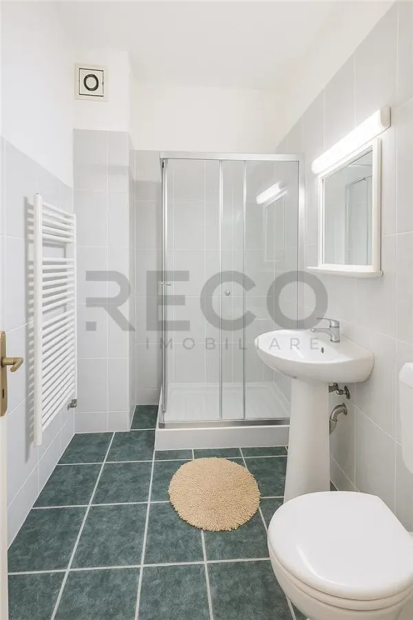 RECO Apartament ultra spatios, de 222 mp utili+terasa foarte mare, inchisa, in Baile Balc, jud. Bihor. - foto 16
