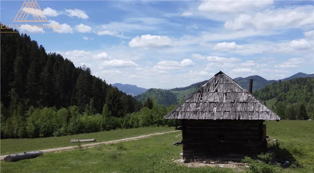Teren de 10Ha in Bucovina BEST VIEW - foto 3