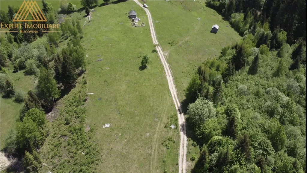 Teren de 10Ha in Bucovina BEST VIEW - foto 4