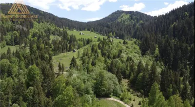 Teren de 10Ha in Bucovina BEST VIEW - foto 5