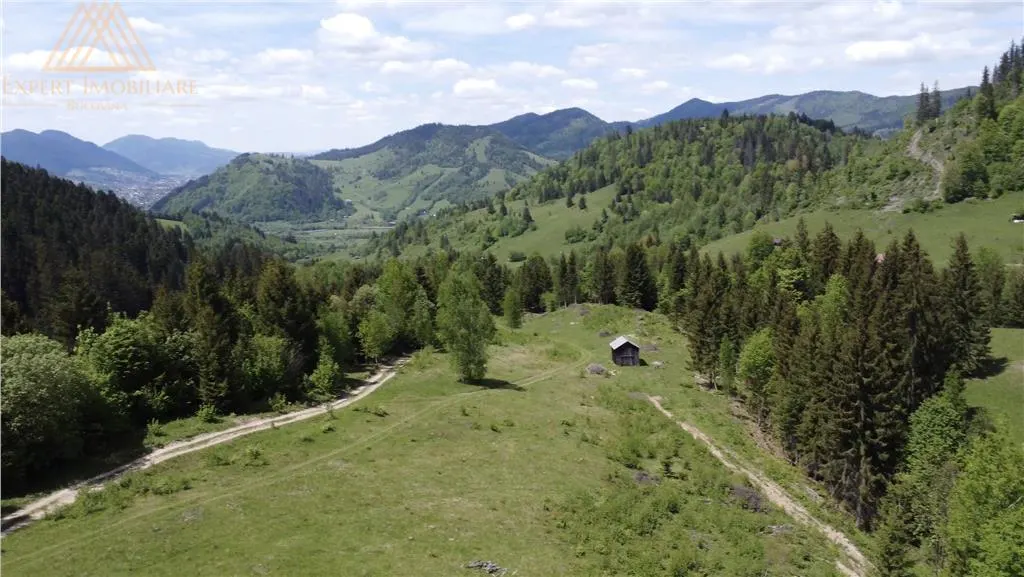 Teren de 10Ha in Bucovina BEST VIEW - foto 6