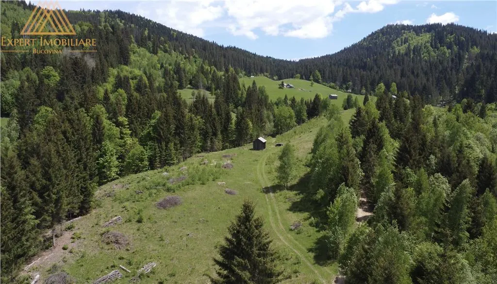 Teren de 10Ha in Bucovina BEST VIEW - foto 7
