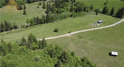 Teren de 10Ha in Bucovina BEST VIEW - foto 8