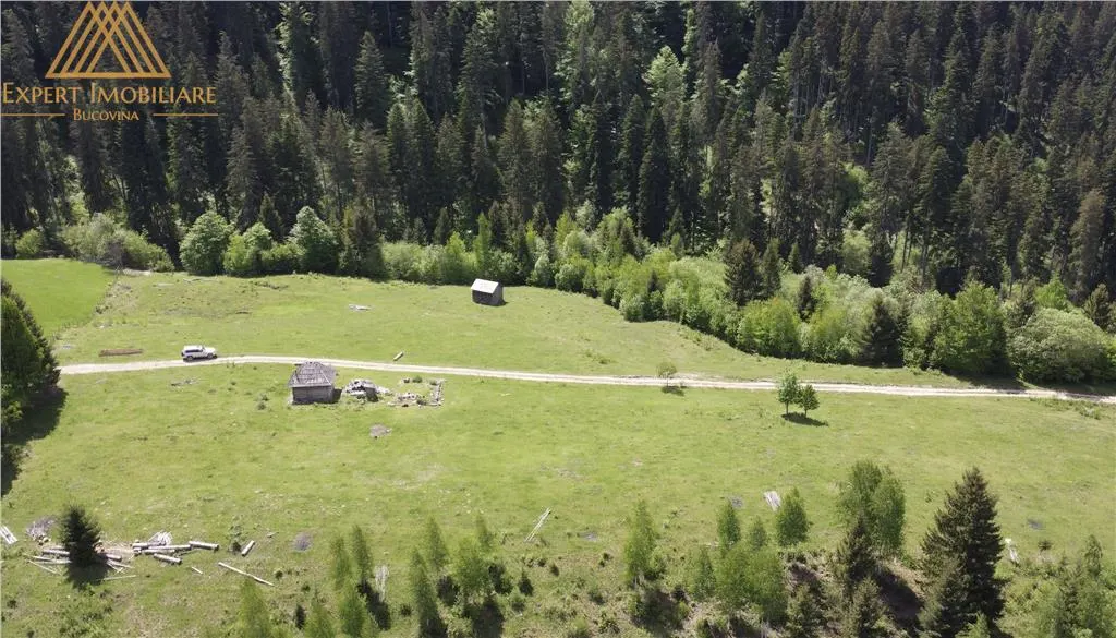Teren de 10Ha in Bucovina BEST VIEW - foto 9