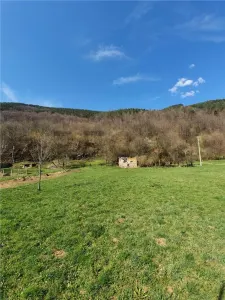 RECO Teren intravilan zona Bulz - Bulz