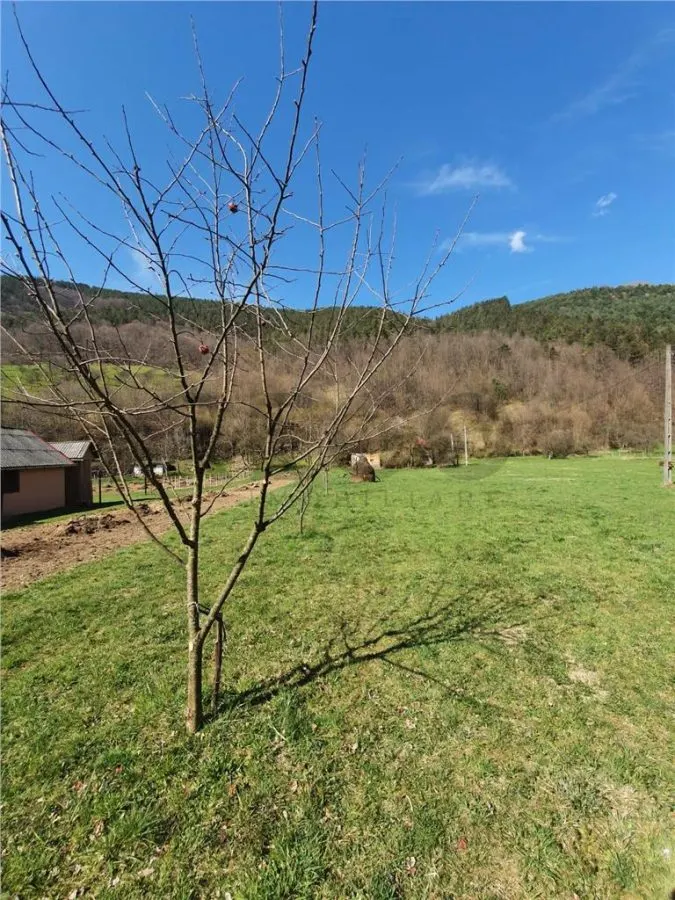 RECO Teren intravilan zona Bulz - foto 3