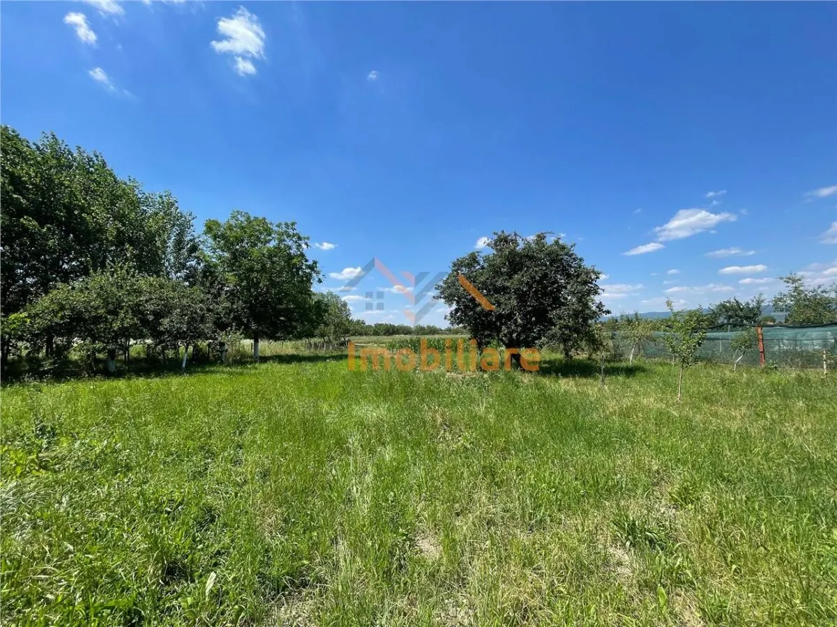 CASA LA TARA | 6770MP TEREN | JOSANI | BIHOR | - foto 15
