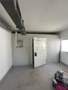 Spatiu comercial tip hala productie sau depozit - Mehala - foto 4