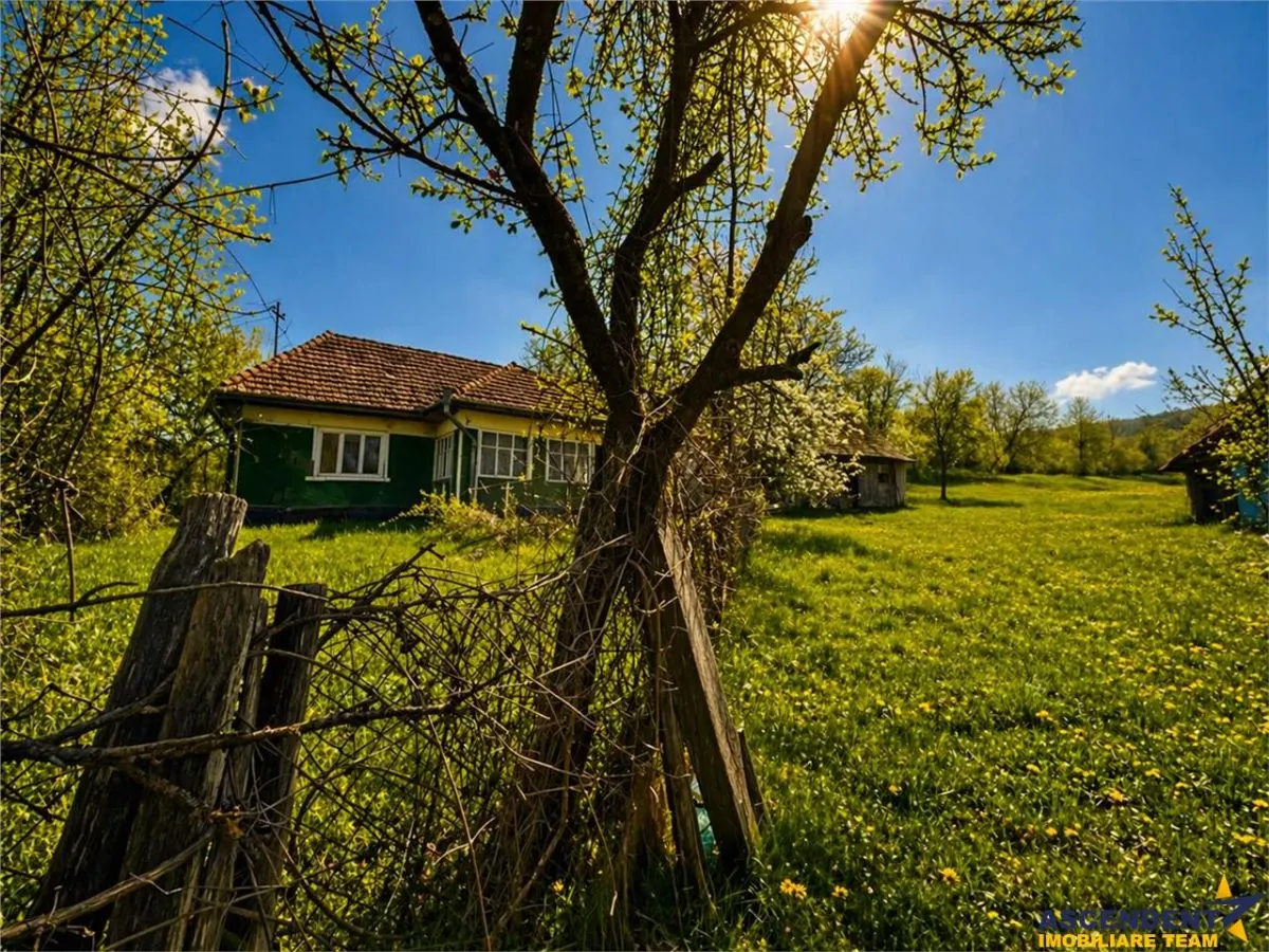 Casa traditionala,zona pitoreasca,domeniu de 3.400 mp,Suveica,Acatari,Mures - foto 5