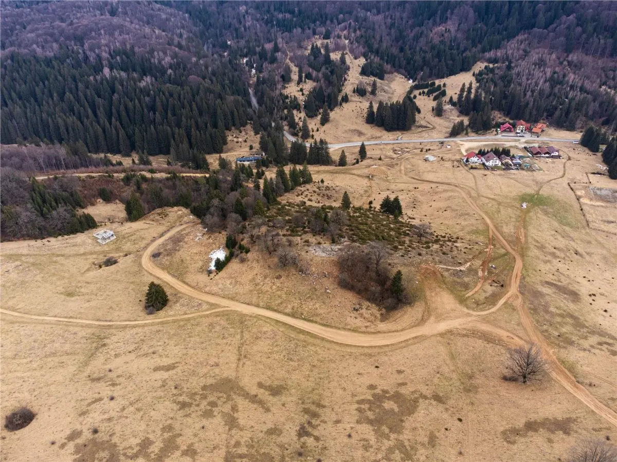 Teren Intravilan 6500 MP- Valea Poienii Aviatorilor ,Aproape de Poiana Brasov si Dino Park - foto 1