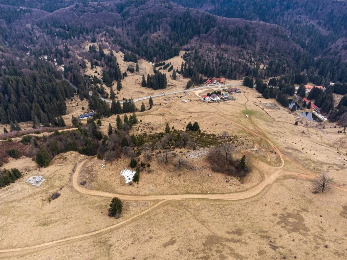 Teren Intravilan 6500 MP- Valea Poienii Aviatorilor ,Aproape de Poiana Brasov si Dino Park - foto 2