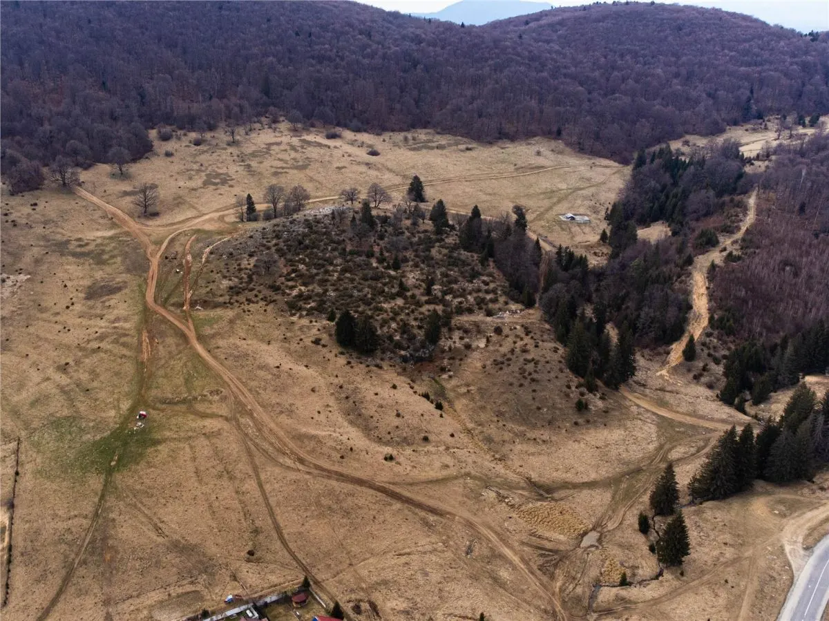 Teren Intravilan 6500 MP- Valea Poienii Aviatorilor ,Aproape de Poiana Brasov si Dino Park - foto 3