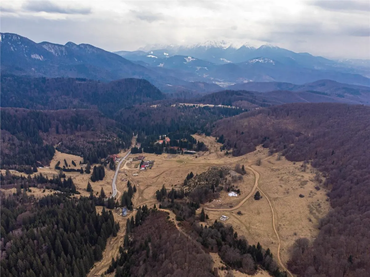 Teren Intravilan 6500 MP- Valea Poienii Aviatorilor ,Aproape de Poiana Brasov si Dino Park - foto 7
