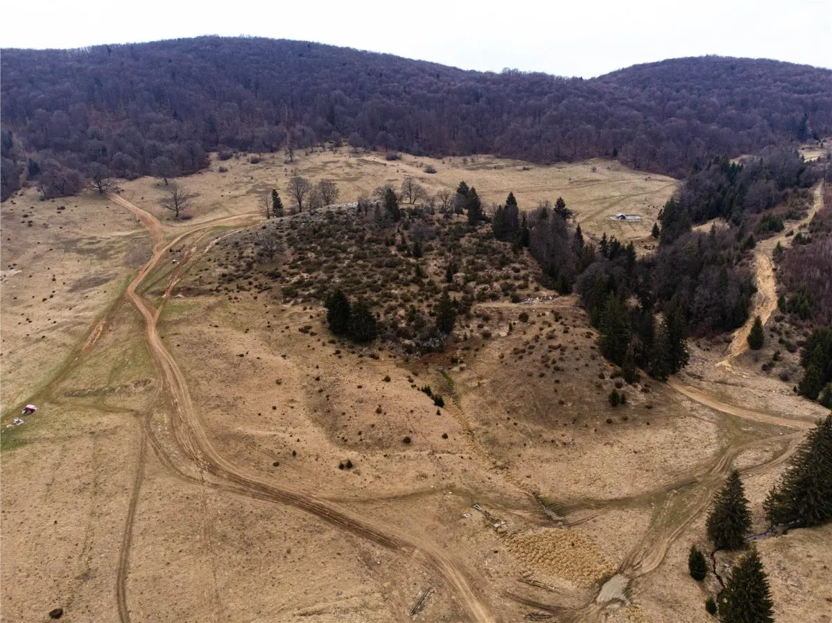 Teren Intravilan 6500 MP- Valea Poienii Aviatorilor ,Aproape de Poiana Brasov si Dino Park - foto 8