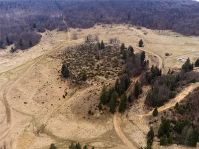 Teren Intravilan 6500 MP- Valea Poienii Aviatorilor ,Aproape de Poiana Brasov si Dino Park - foto 9