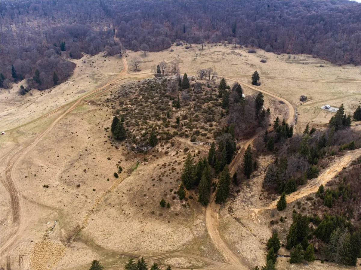 Teren Intravilan 6500 MP- Valea Poienii Aviatorilor ,Aproape de Poiana Brasov si Dino Park - foto 9