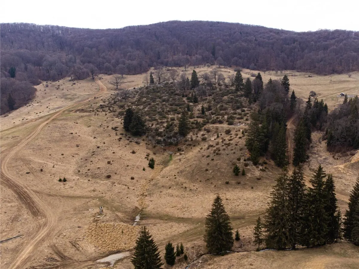 Teren Intravilan 6500 MP- Valea Poienii Aviatorilor ,Aproape de Poiana Brasov si Dino Park - foto 10