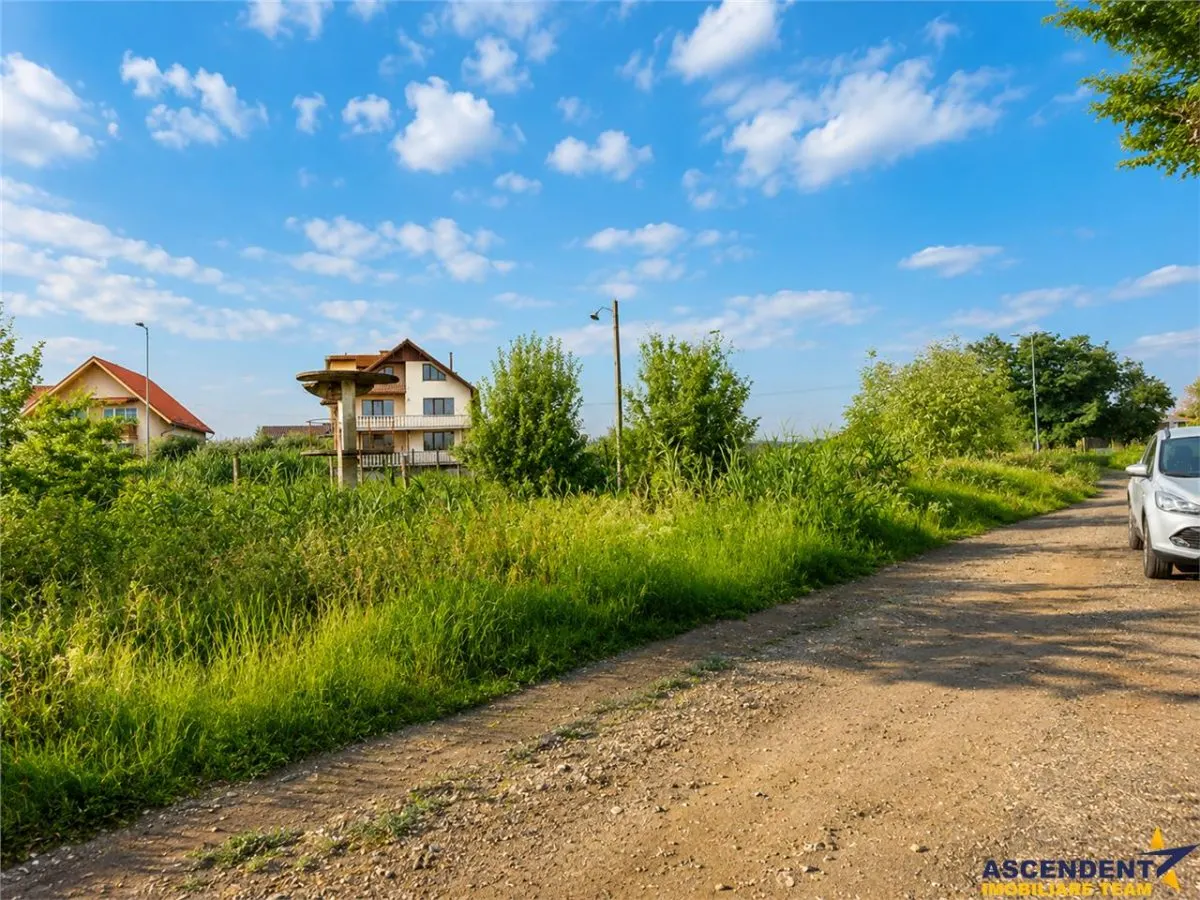 Teren intravilan 10.000 mp, parcelabil, plan, acces asfaltat, Bod, Brasov - foto 5