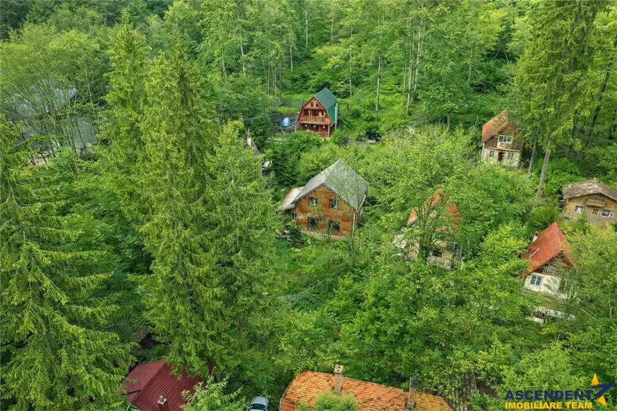 FILM! Rezidenta pe apreciabile conditii, in statiunea Sugas Bai, Covasna - foto 4