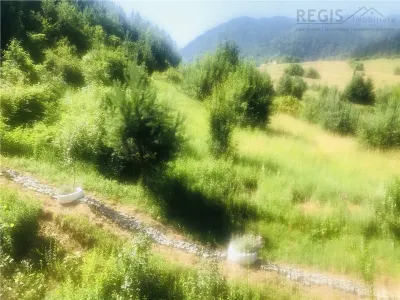 Apartament in natura, zona nepoluata,  Coasta Vie Sacele Cernatu - foto 3