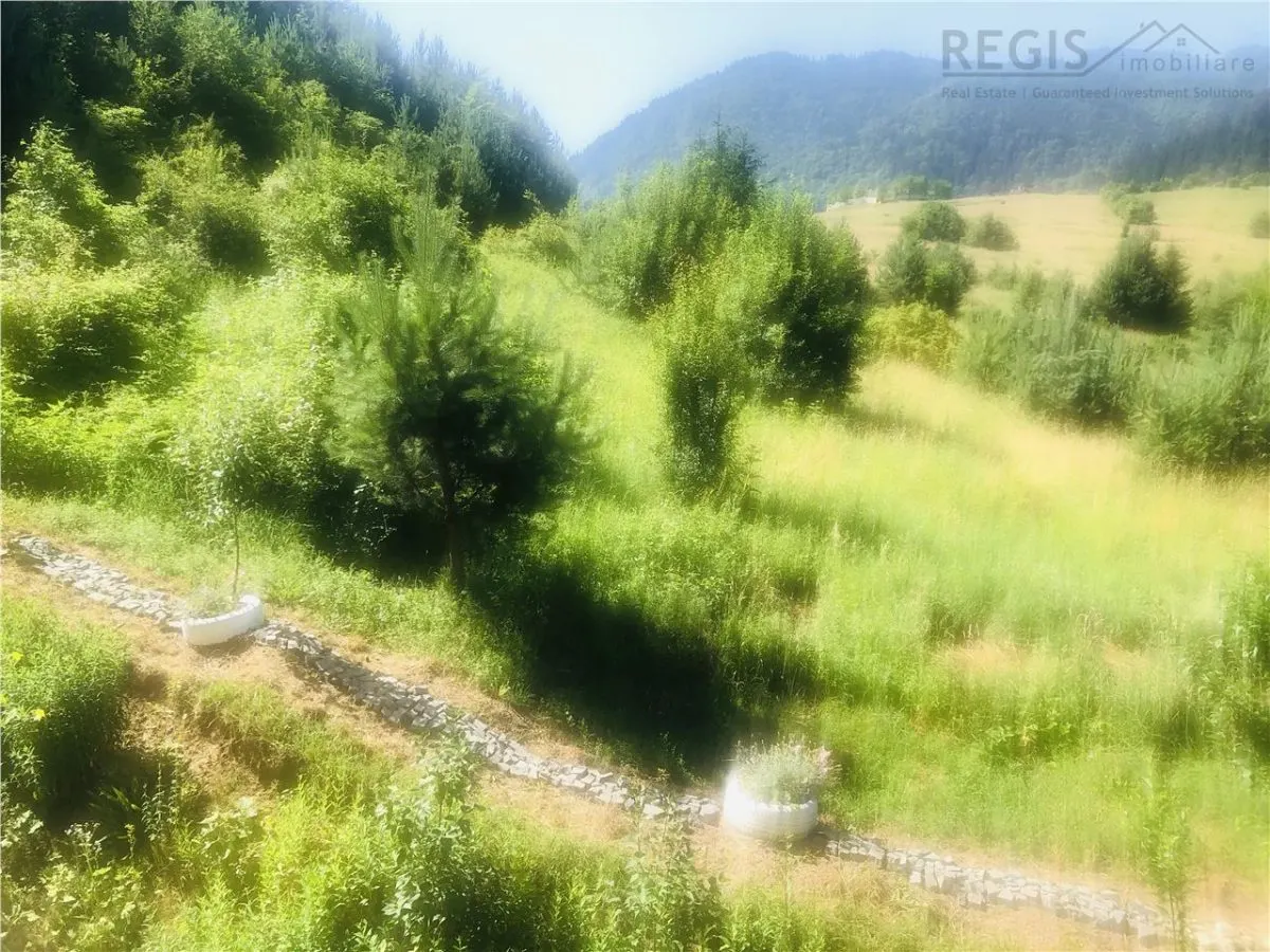 Apartament in natura, zona nepoluata,  Coasta Vie Sacele Cernatu - foto 3
