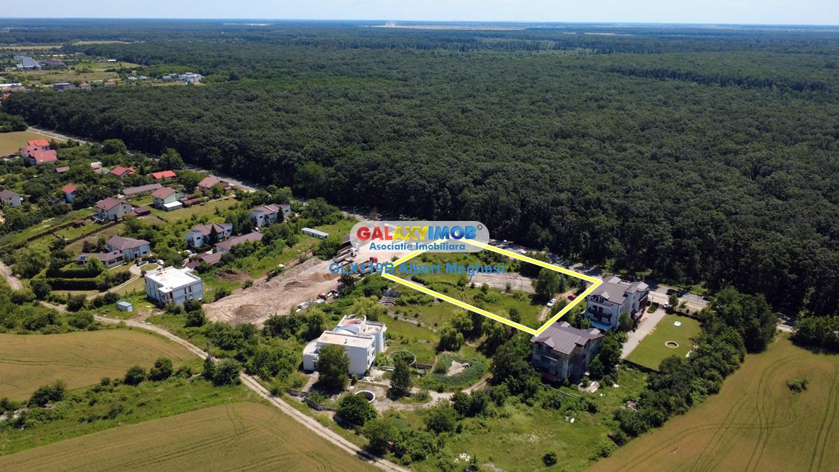 Vanzare teren intravilan 5000 mp Snagov Ciofliceni - foto 2