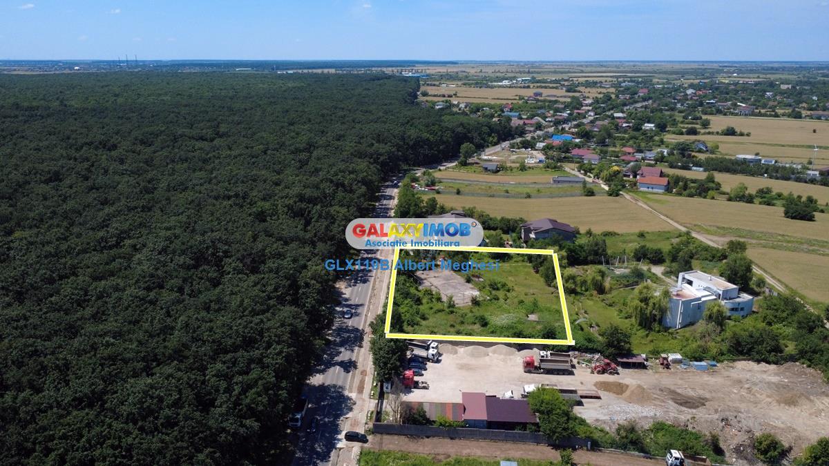 Vanzare teren intravilan 5000 mp Snagov Ciofliceni - foto 11