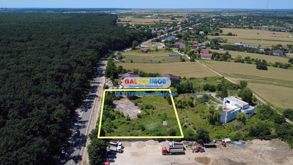 Vanzare teren intravilan 5000 mp Snagov Ciofliceni - foto 12