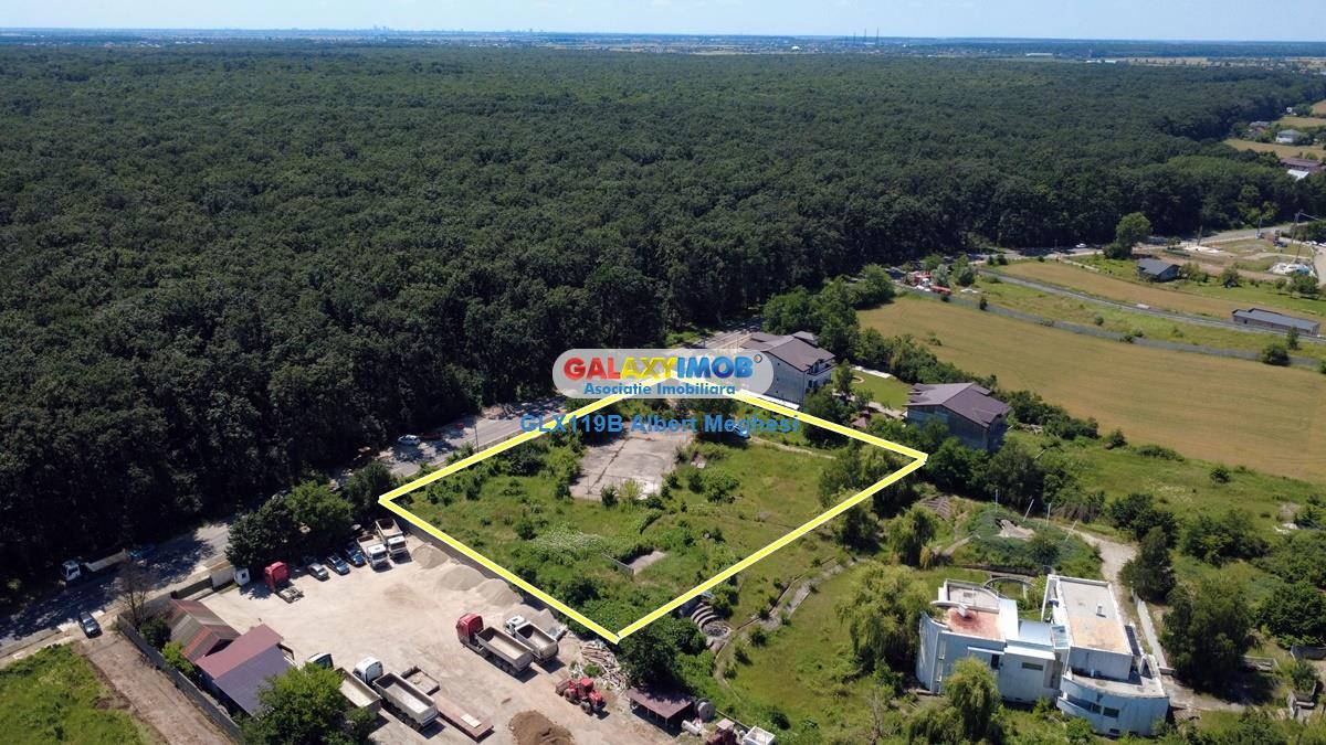 Vanzare teren intravilan 5000 mp Snagov Ciofliceni - foto 13