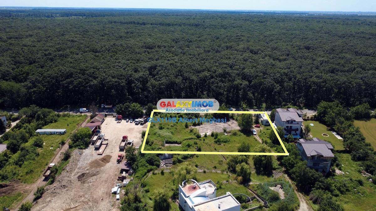 Vanzare teren intravilan 5000 mp Snagov Ciofliceni - foto 14