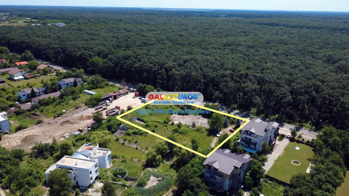 Vanzare teren intravilan 5000 mp Snagov Ciofliceni - foto 15