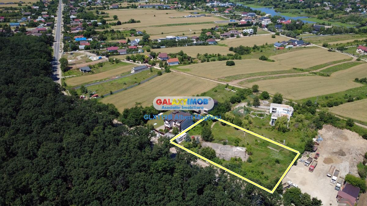 Vanzare teren intravilan 5000 mp Snagov Ciofliceni - foto 18