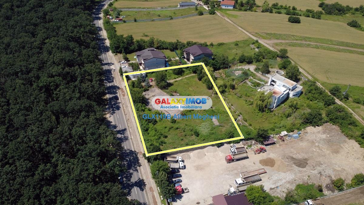 Vanzare teren intravilan 5000 mp Snagov Ciofliceni - foto 3