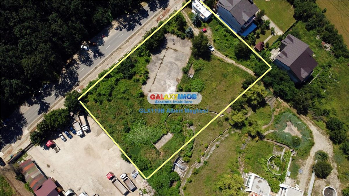 Vanzare teren intravilan 5000 mp Snagov Ciofliceni - foto 24
