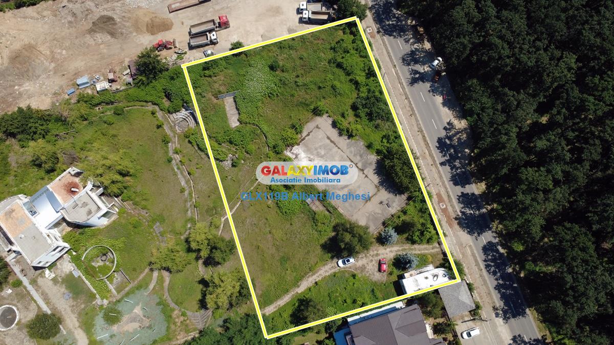 Vanzare teren intravilan 5000 mp Snagov Ciofliceni - foto 25
