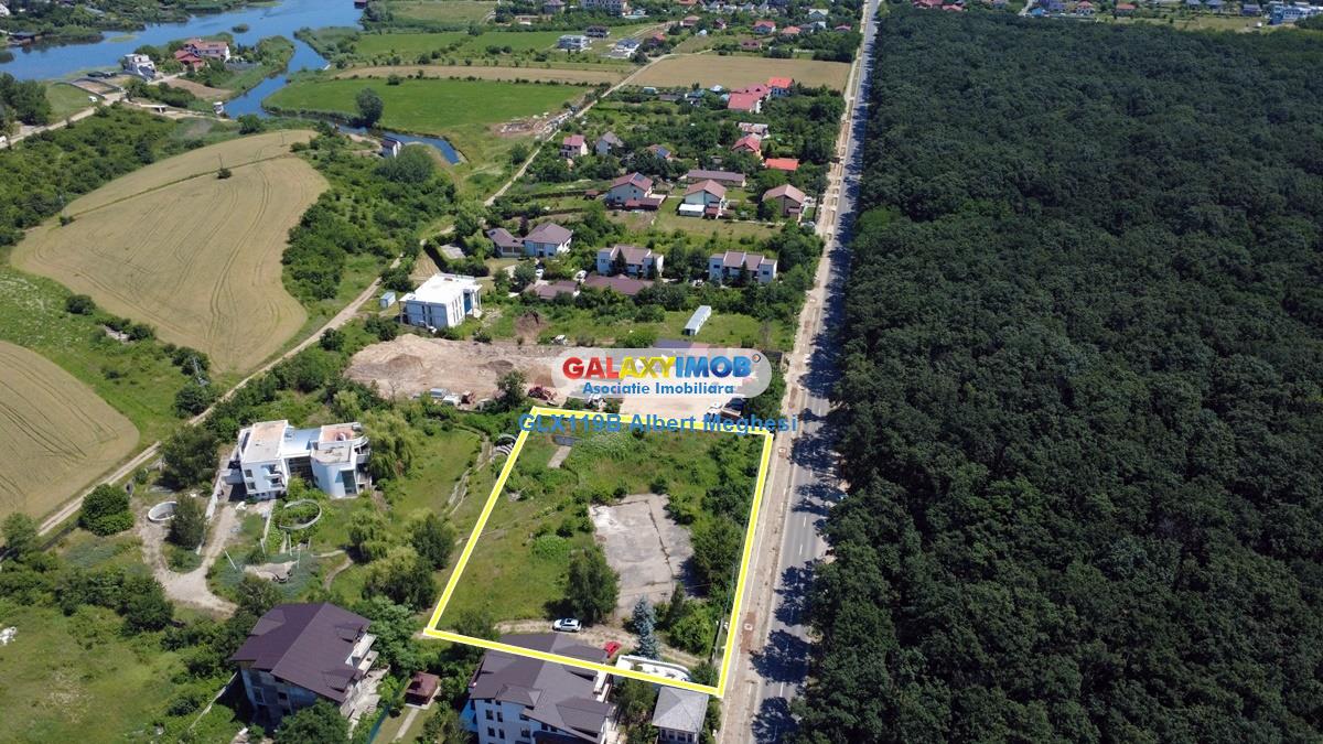 Vanzare teren intravilan 5000 mp Snagov Ciofliceni - foto 5