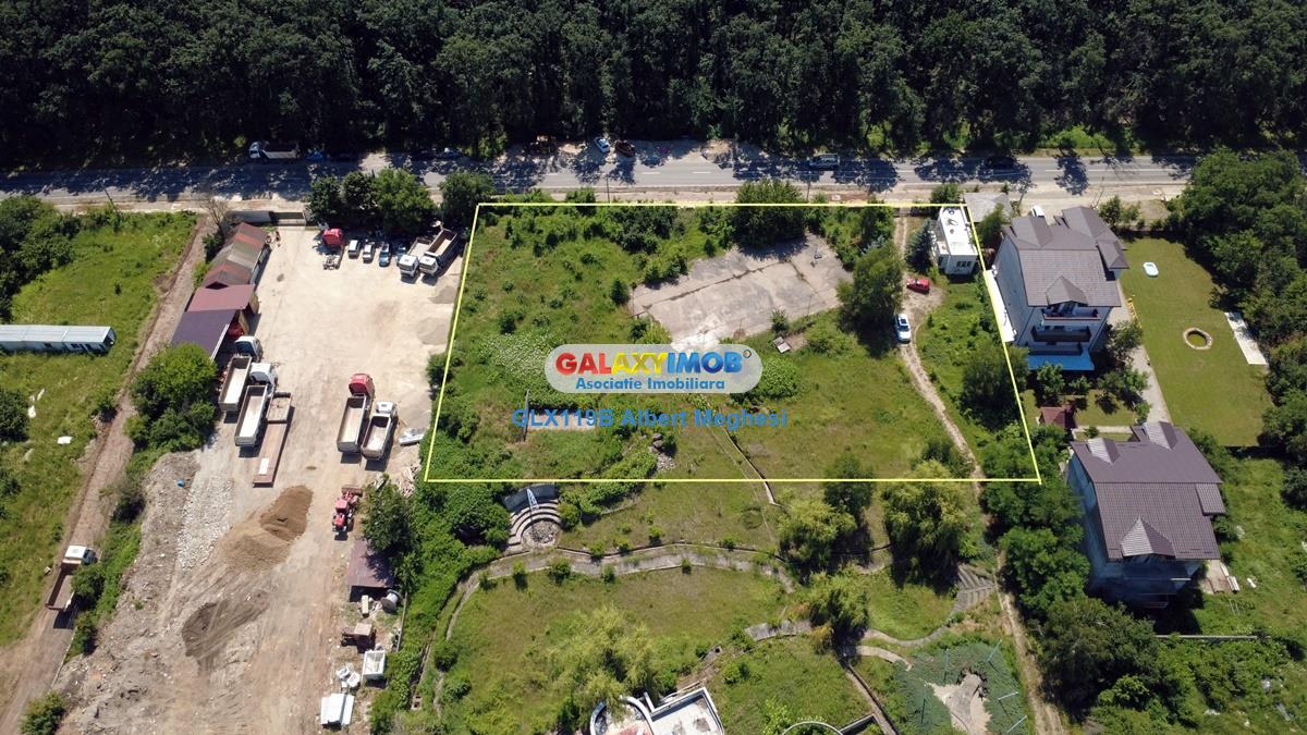 Vanzare teren intravilan 5000 mp Snagov Ciofliceni - foto 7