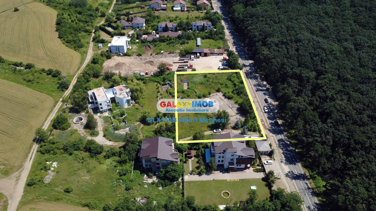 Vanzare teren intravilan 5000 mp Snagov Ciofliceni - foto 8